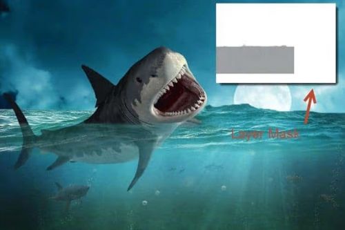 آموزش طراحی صحنه شکار کوسه در فتوشاپ